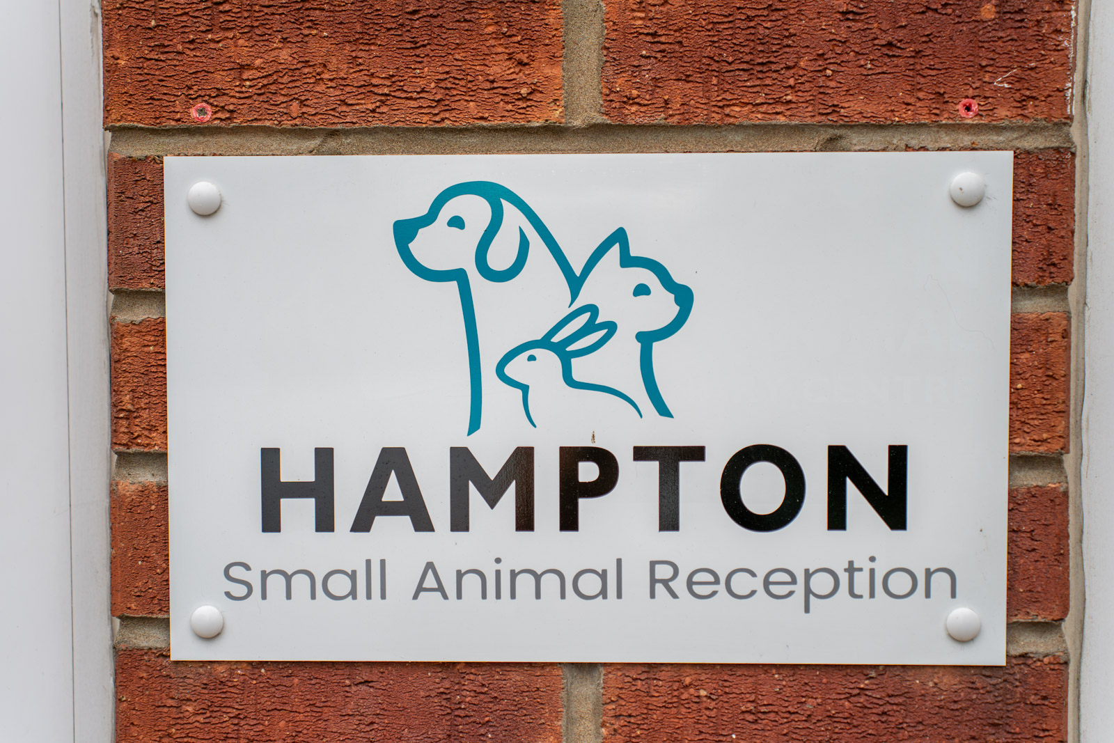 The Willows Veterinary Group - Hampton (Web) 045